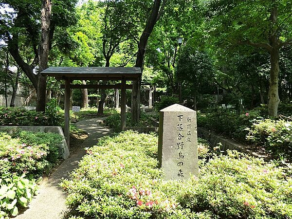 公園 400m 下落合野鳥の森公園