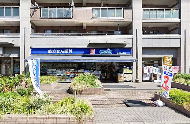 ドラッグストア 600m ウエルシア練馬東大泉店