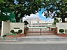 周辺：中学校 800m 練馬区立石神井東中学校