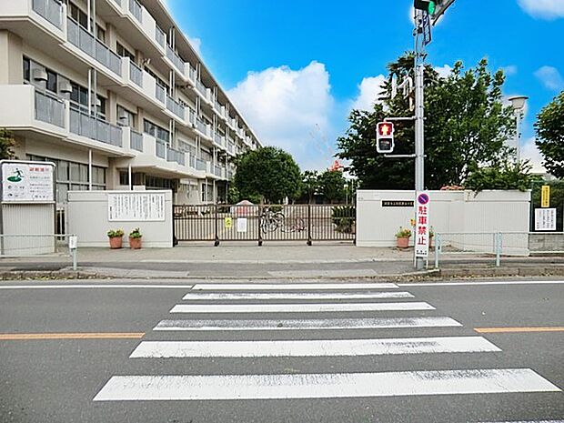 小学校 300m 朝霞市立朝霞第七小学校