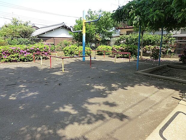 公園 400m 花5公園