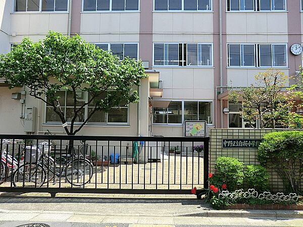 小学校 1500m 中野区立白桜小学校