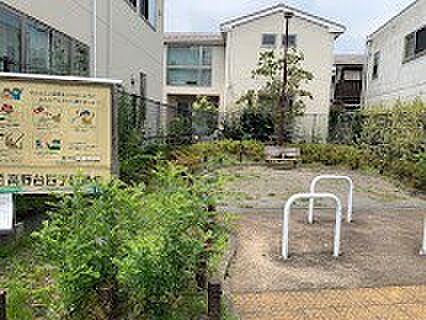 公園 100m 練馬区立 高野台四丁目緑地
