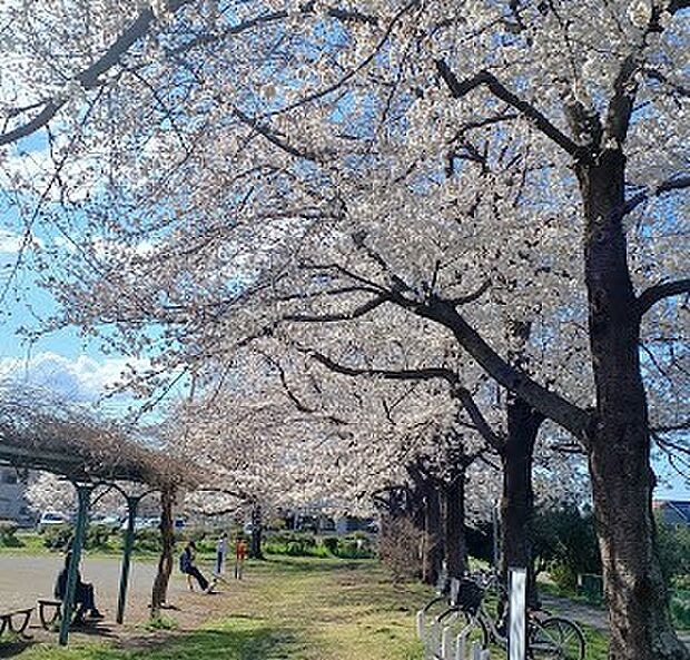公園 200m 栗原一丁目公園