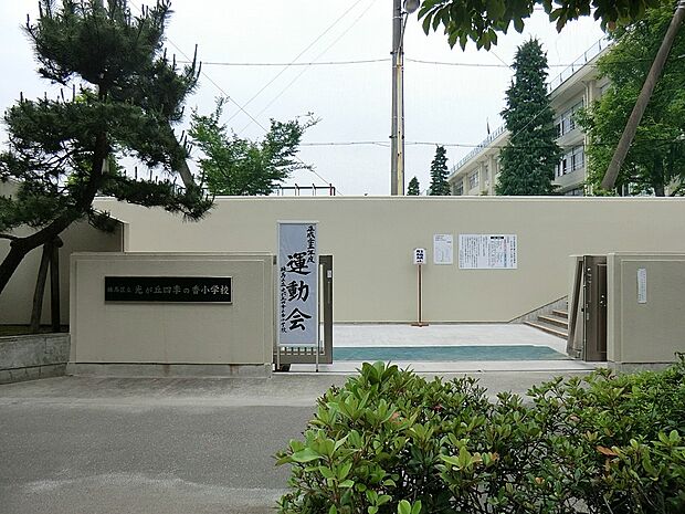 小学校 300m 練馬区立光が丘四季の香小学校