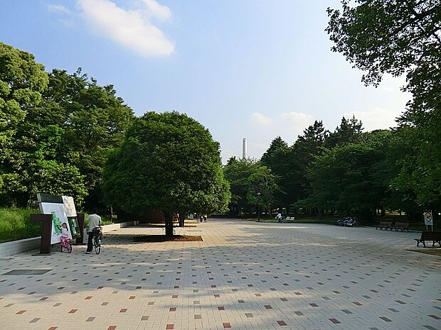 公園 100m 光が丘公園