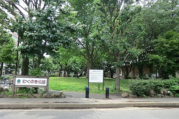 公園 100m むくのき公園