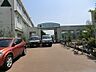 周辺：小学校 500m 板橋区立徳丸小学校