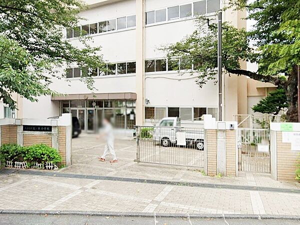 小学校 450m 杉並区立松ノ木小学校