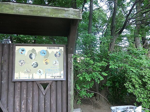 公園 100m 学園野鳥公園