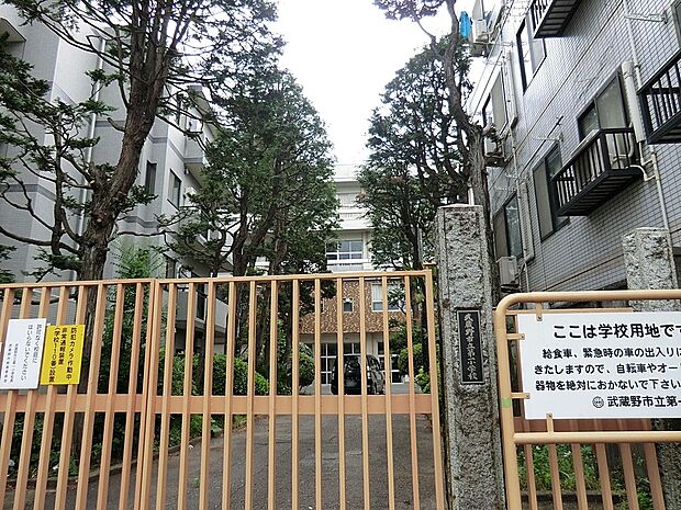 小学校 172m 武蔵野市立第一小学校