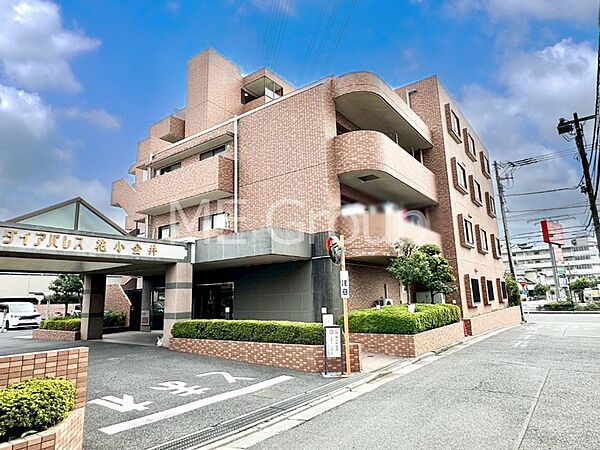 外観：313004464538