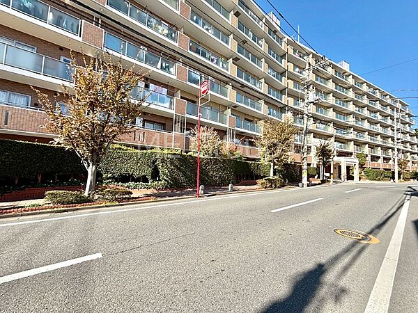 外観：313004451467