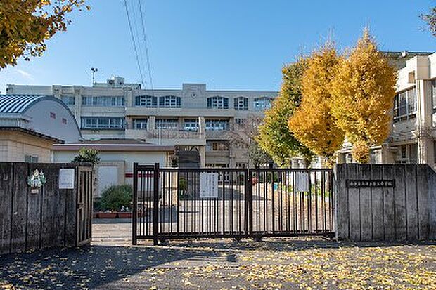 中学校 1000m 小平市立小平第五中学校