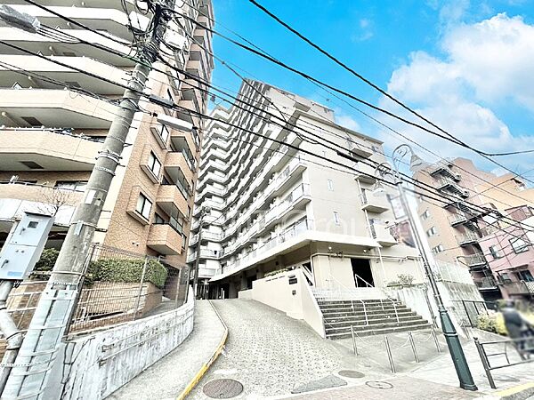 外観：313004525003