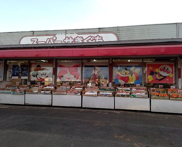 スーパー 1900m スーパーせきぐち