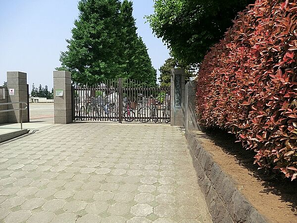 中学校 300m 練馬区立開進第二中学校