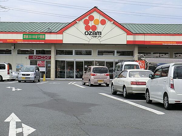 スーパー 494m オザム 下里店