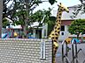 周辺：幼稚園・保育園 800m 学校法人 光輪学園 三ヶ島幼稚園