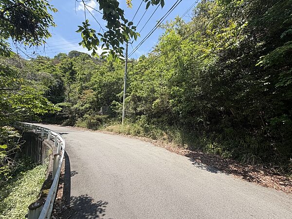 広々とした山林です。