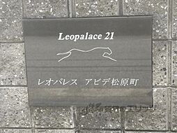19 / 32
