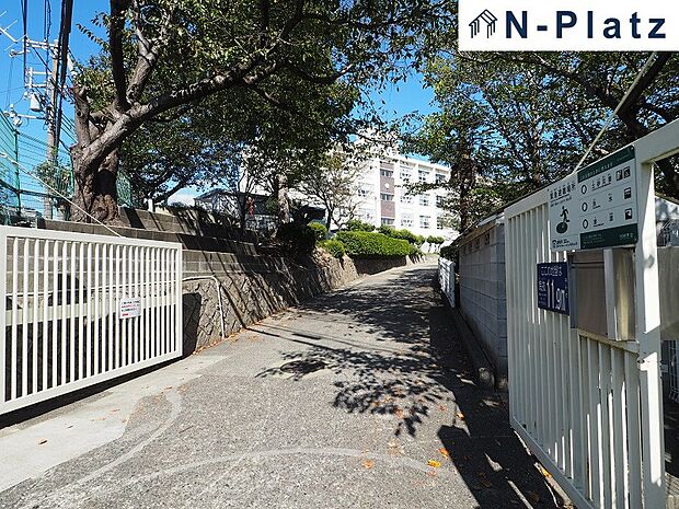 塩屋小学校まで約200ｍ