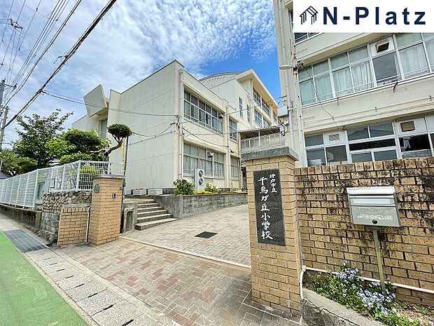 千鳥が丘小学校まで約450m