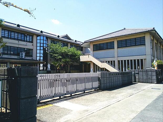 八幡中学校 徒歩23分