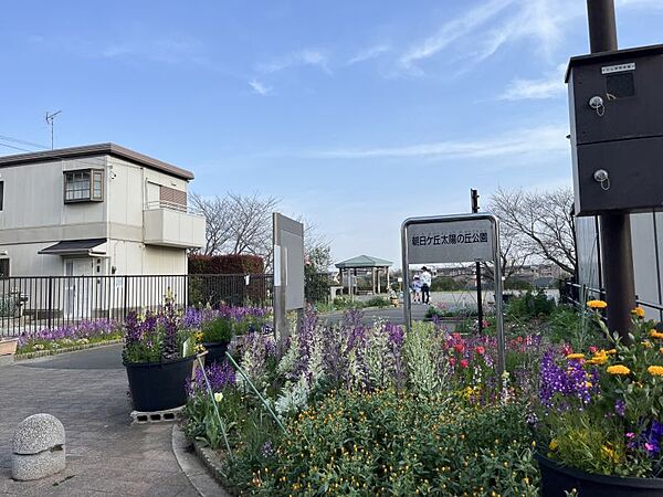 朝日ヶ丘太陽の丘公園まで　300m　徒歩約4分