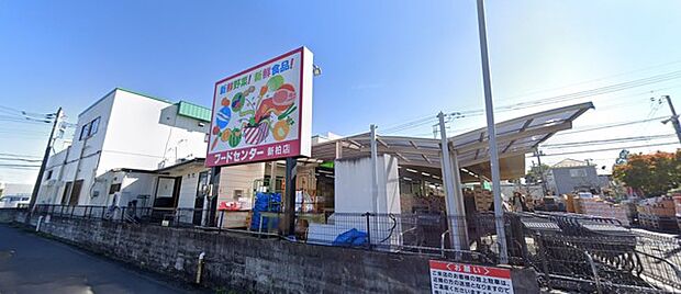 フードセンターわたなべ新柏店(550m)