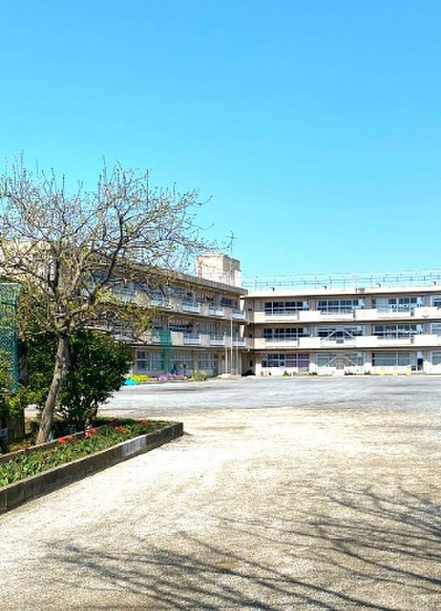 松葉第一小学校(700m)