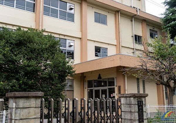 横戸小学校（145m）