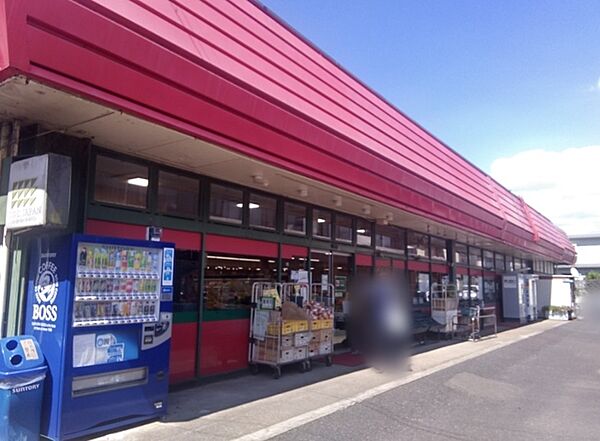 スーパーチェーンカワグチこてはし中央店（850m）