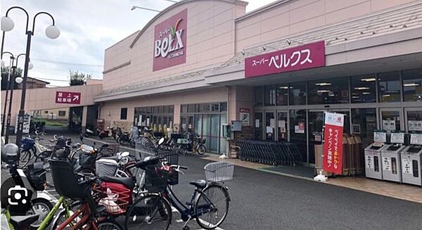 ベルクス　堀之内店（700m）