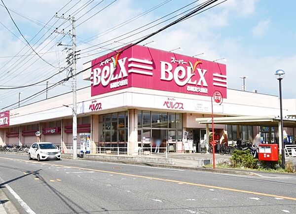 ベルクス市川宮久保店（600m）