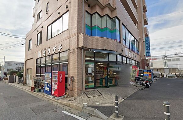 スーパーチェーンカワグチ大和田店（1100m）