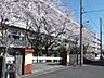 周辺：千葉市立宮野木小学校（647m）