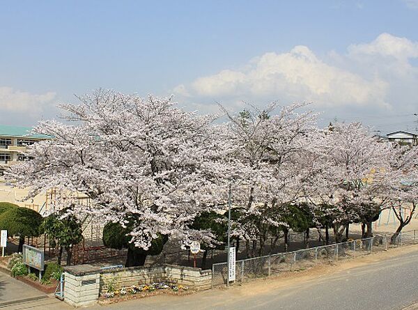 辰巳台西小学校（350m）