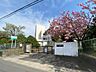 周辺：市原市立明神小学校（240m）