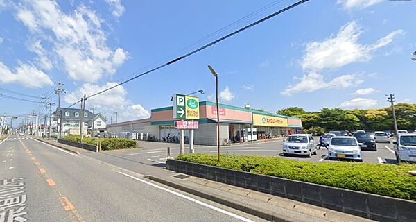 ランドロームフードマーケット富里店（2100m）