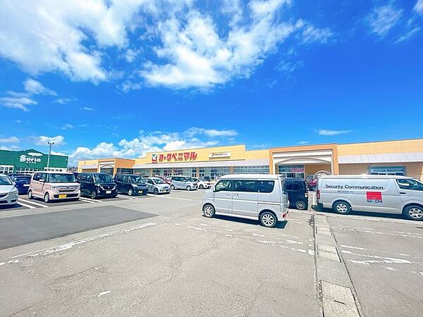【周辺環境】ヨークベニマル角田店様まで約4600ｍです。
