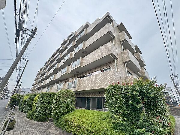 外観：313004532275