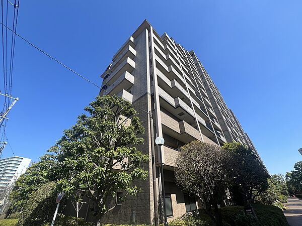 外観：313004652720