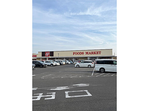 コープ大野芝店まで800m 徒歩10分。生鮮食品・惣菜・酒類・医薬品・衣料品などの取り扱いがあります。日常の買物に便利です。駐車場有り。/営業時間9:30～20:50