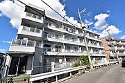 原田マンション 1階 築37年11ヶ月の賃貸物件