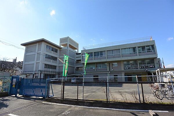 画像9:寝屋川市立桜小学校（382m）