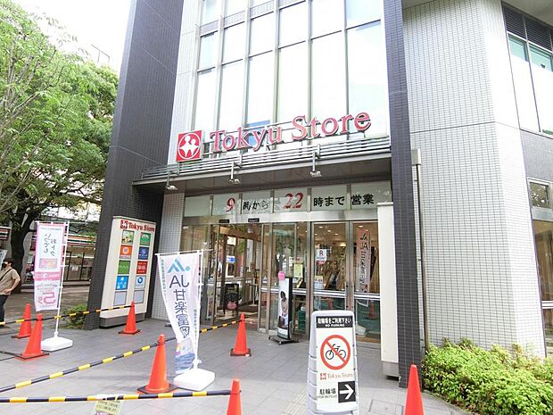 東急ストア 仲町台店まで約1160m（徒歩15分）