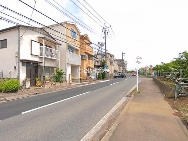 現地写真です。