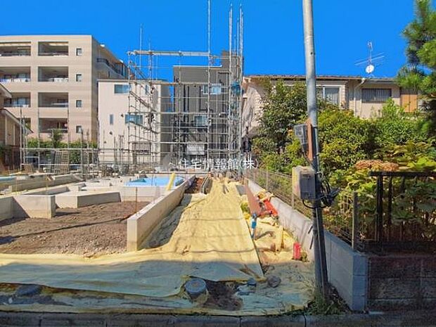 現地写真です。