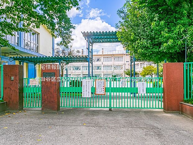 世田谷区立砧小学校まで約520m（徒歩7分）